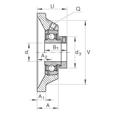 軸承座單元 PCJ50-N-FA125, 帶四個螺栓孔的法蘭的軸承座單元，鑄鐵，偏心鎖圈，P型密封，耐腐蝕保護(hù)