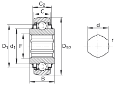 外球面球軸承 SK100-206-KRR-B-AH11, 球面外圈，內圈帶六角形孔，兩側 R 型密封