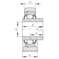 直立式軸承座單元 RASEL40-N, 鑄鐵軸承座，浮動軸承，內(nèi)圈有驅(qū)動槽，R 型密封